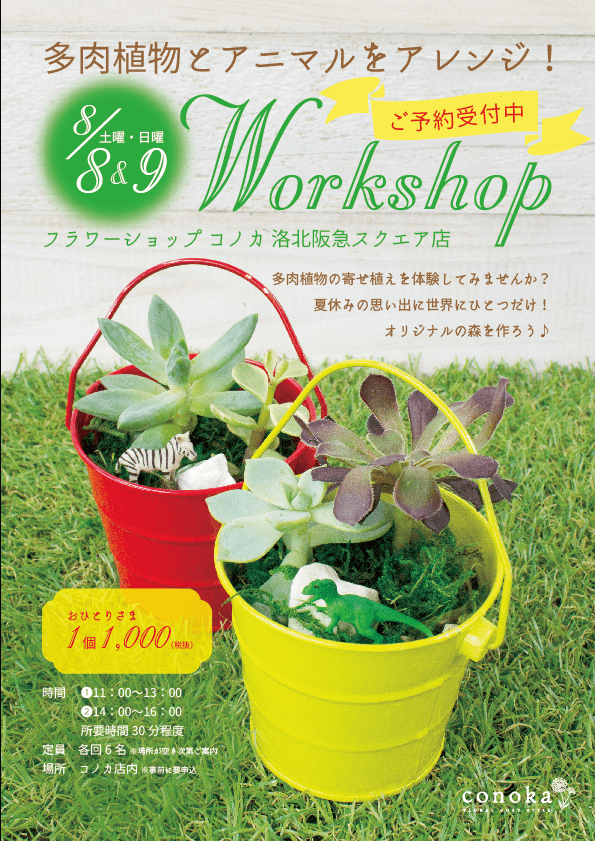 Conoka 多肉植物寄せ植え体験 夏休みの思い出にいかがですか Shop News 洛北阪急スクエア