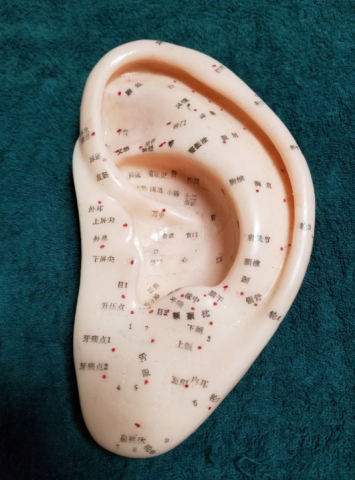 JEUGIAカルチャーセンター | 【イマ話題の大人気講座！】耳つぼ