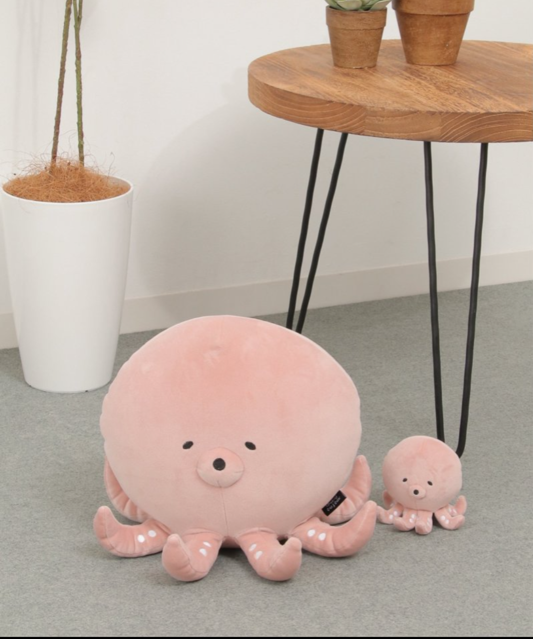 LBC with Life | 海の生き物シリーズに“タコ”が新登場！ | SHOP NEWS