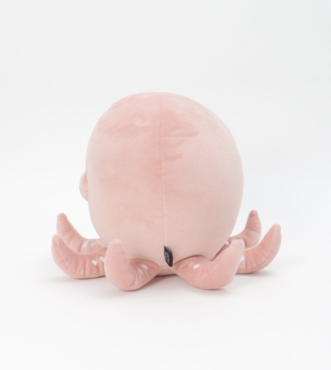 LBC with Life | 海の生き物シリーズに“タコ”が新登場！ | SHOP NEWS