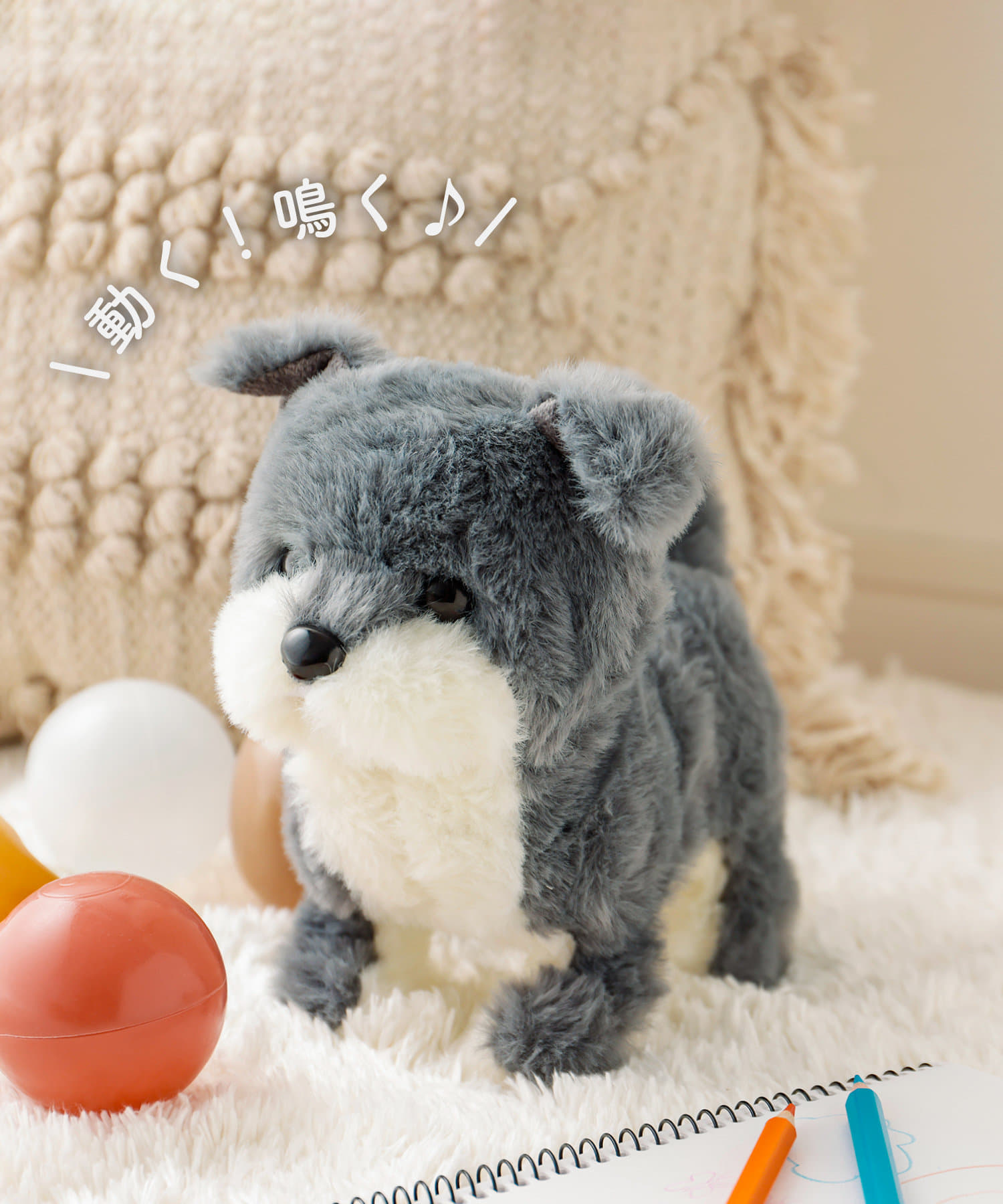 3COINS+plus | 新商品のご紹介です！ | SHOP NEWS｜洛北阪急スクエア