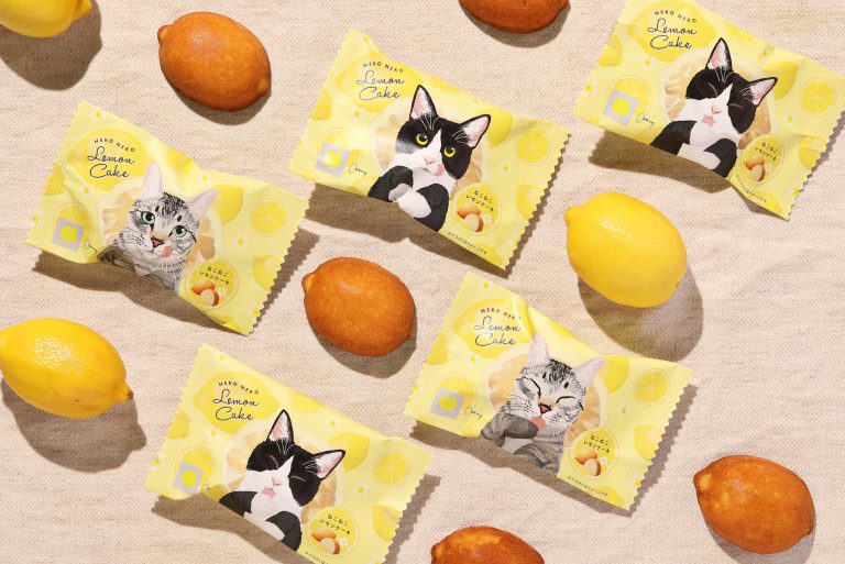 ねこねこさま専用 パステルデザート | 【ねこねこサマーバケーション第1弾