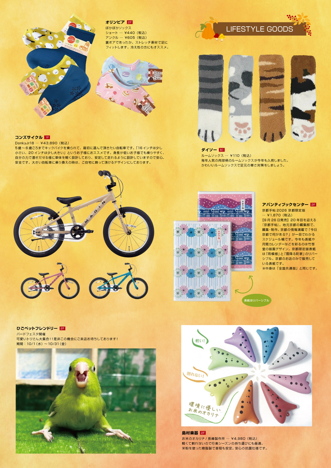 image_7