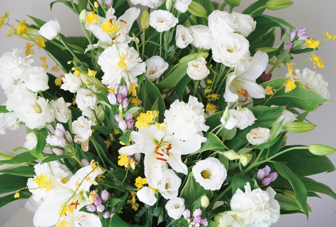 image_8